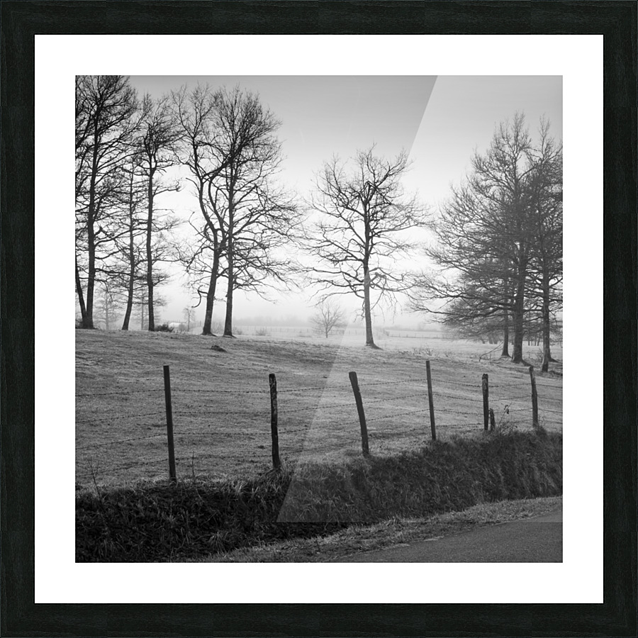 MEADOW Picture Frame print