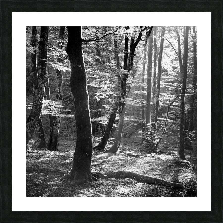 BEECHWOOD Picture Frame print