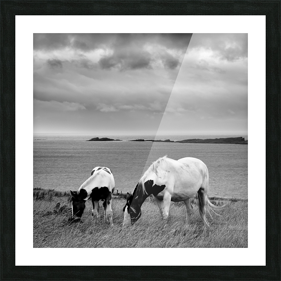 HORSES Picture Frame print