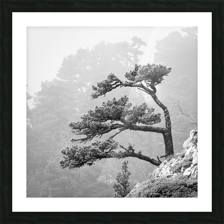 LARRA Picture Frame print
