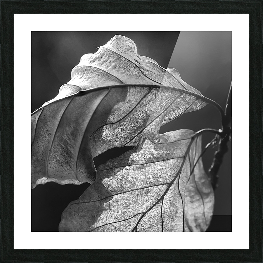 LEAVES Picture Frame print