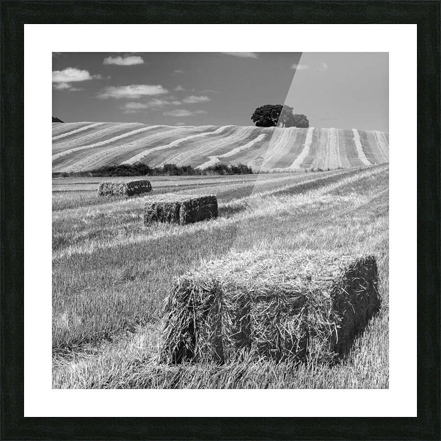 CEREAL LAND Picture Frame print