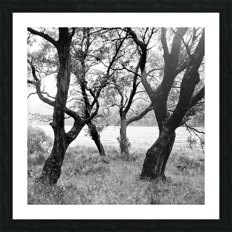 WICKLOW Picture Frame print