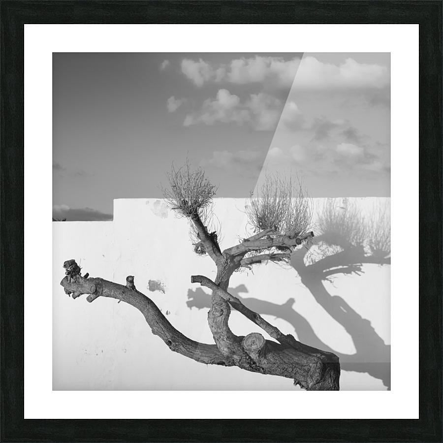 LONELY TREE Picture Frame print