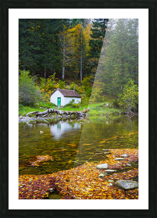 Cabin in Irati Forest 02 Picture Frame print