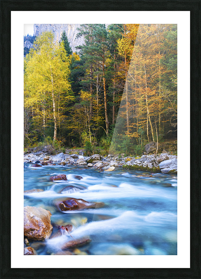  Fine Art print