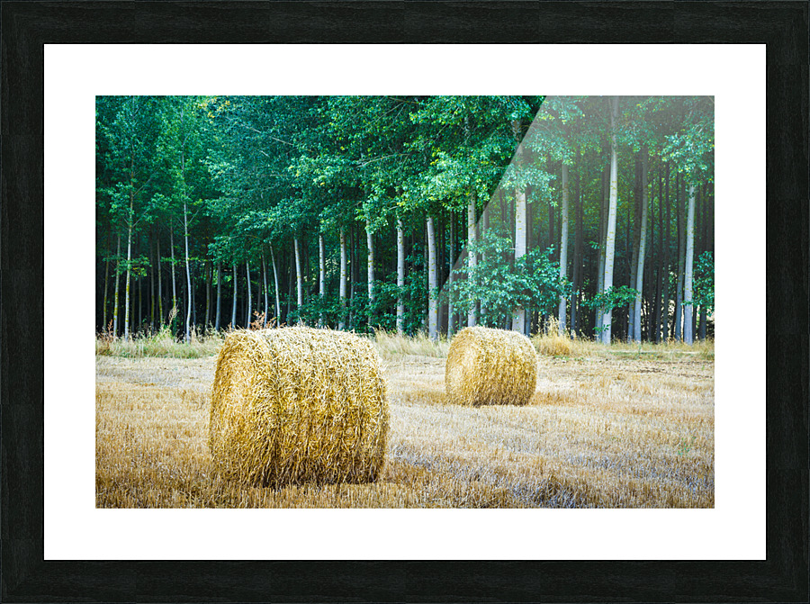 Wheat bales. Spain. Picture Frame print