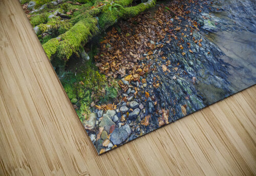 Otzarreta beechwood 04 Mikel Bilbao Photography puzzle