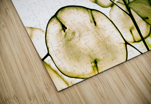 Honesty seeds Mikel Bilbao Photography puzzle