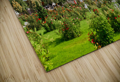 Konia 02 Mikel Bilbao Photography puzzle