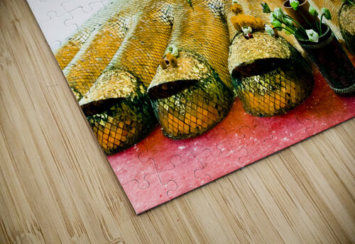 Standing Buddha Mikel Bilbao Photography puzzle
