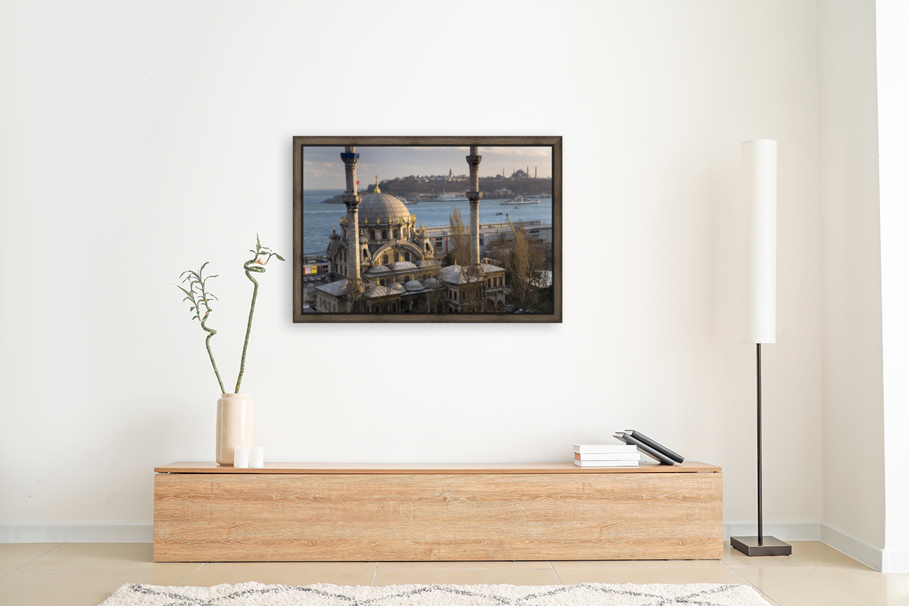 Istanbul IV Reproduction