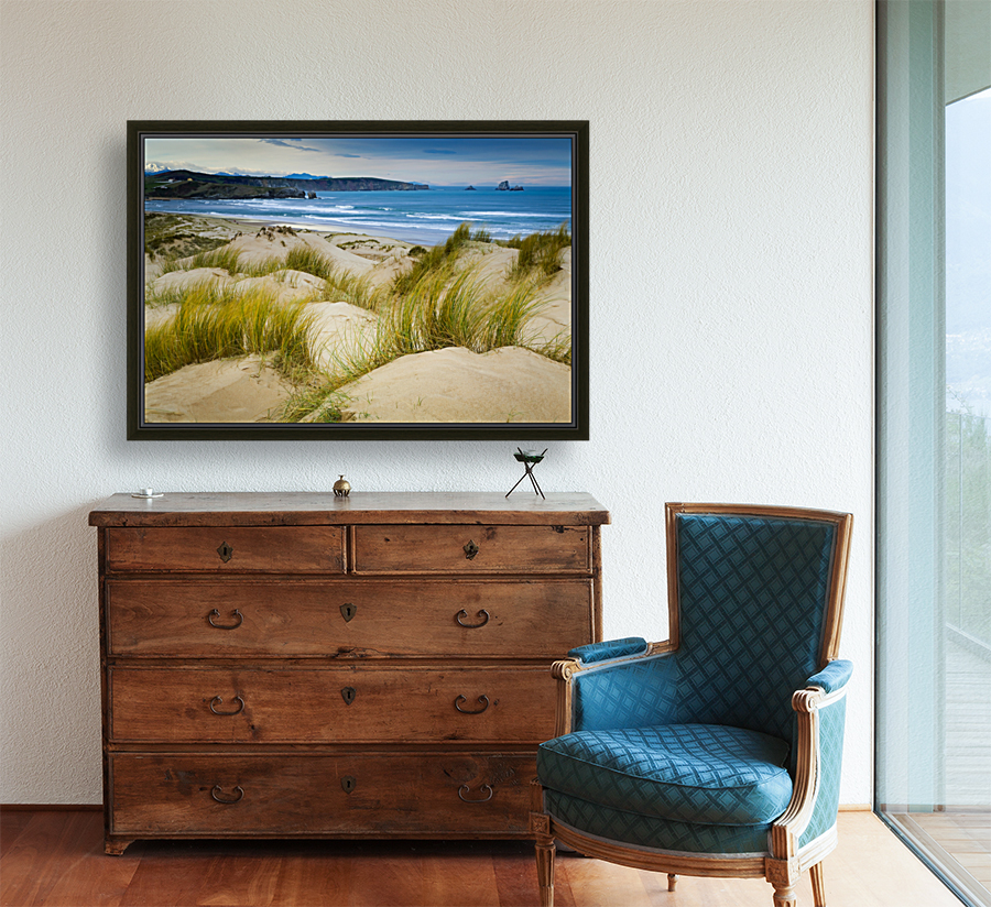 Liencres dunes 2 Reproduction