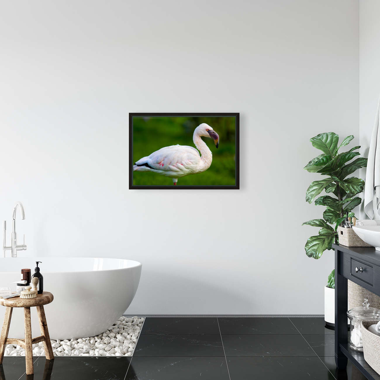 Lesser Flamingo Reproduction