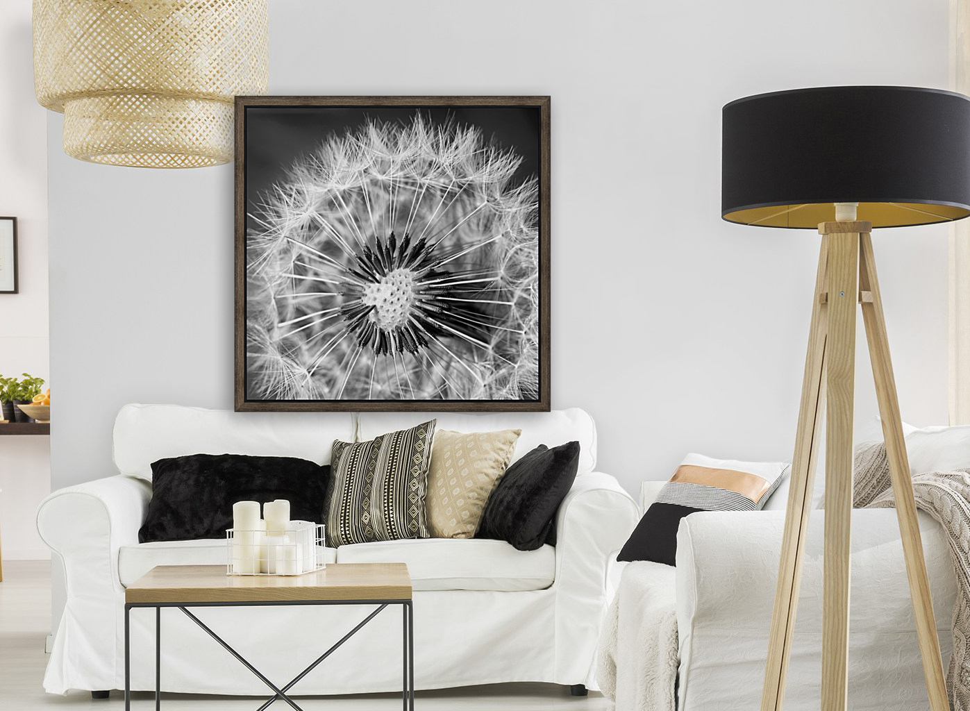 DANDELION Reproduction