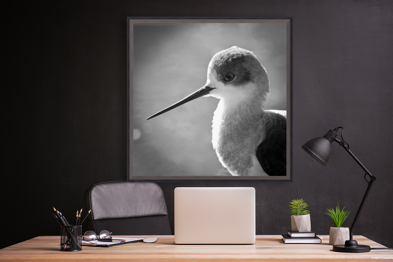 STILT Reproduction