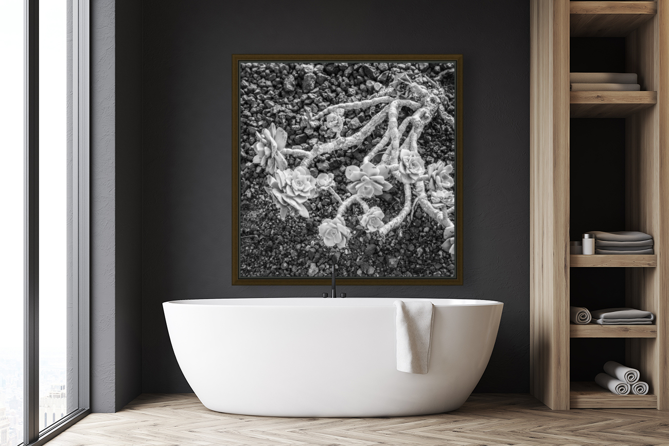DEAD FLOWER Reproduction