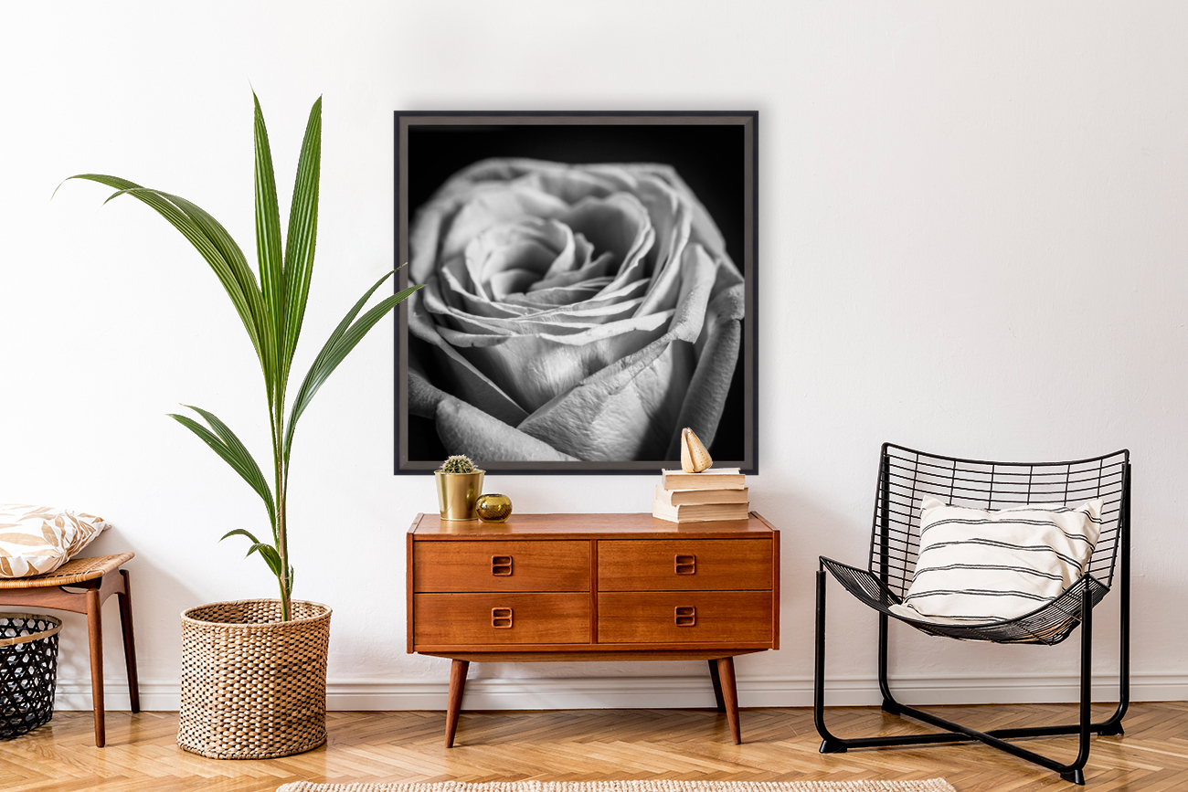 ROSE Reproduction