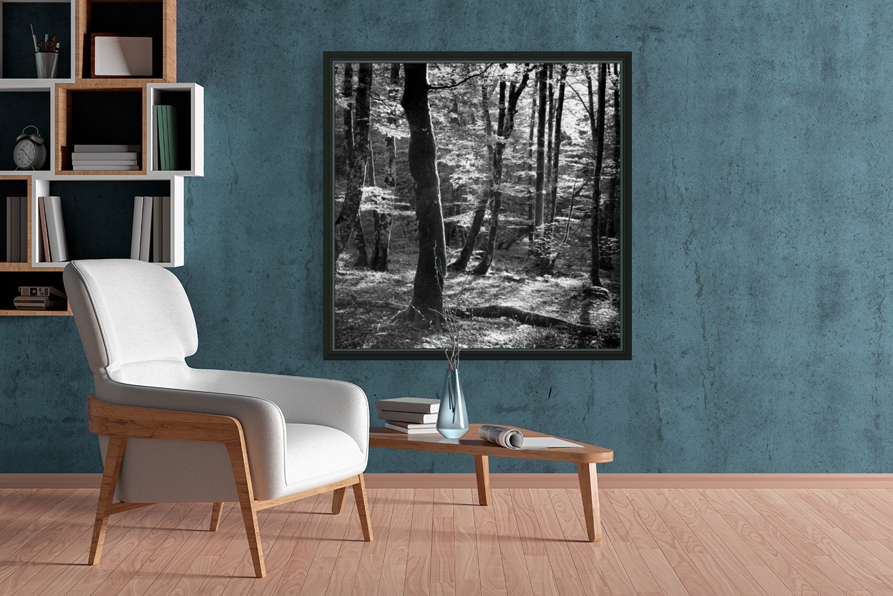 BEECHWOOD Reproduction