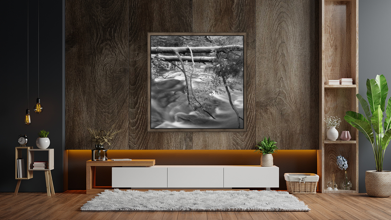 BAIAS RIVER Reproduction