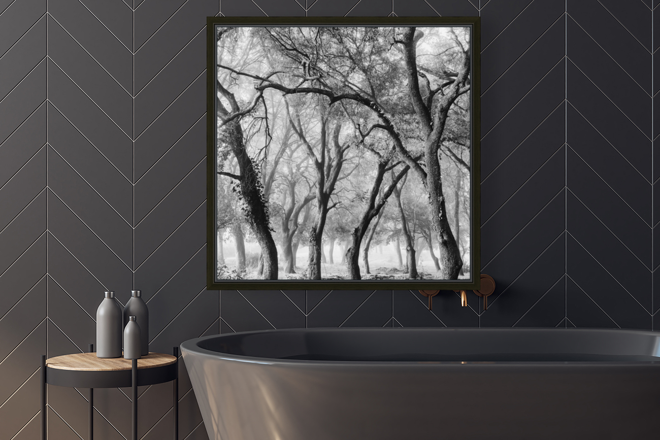 OAK GROVE Reproduction