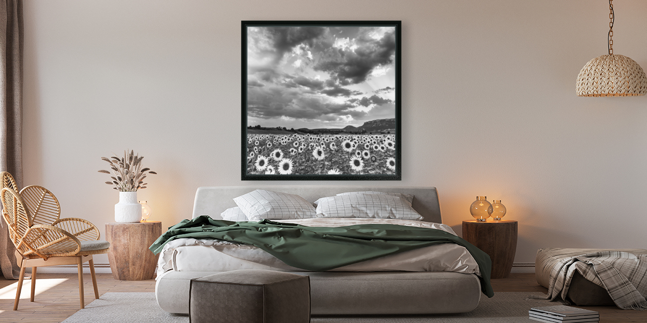 SUNFLOWERS Reproduction