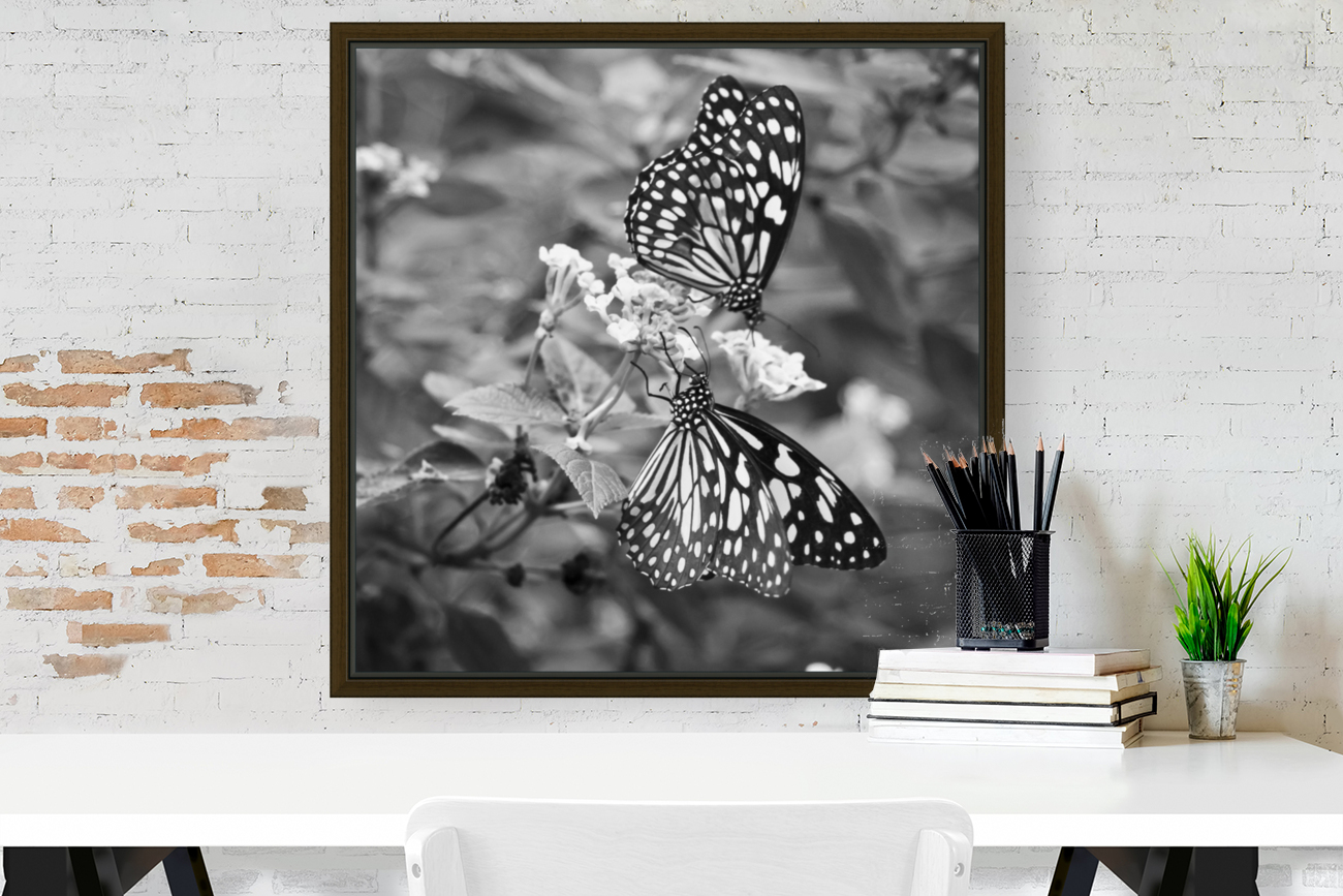 BUTTERFLIES Reproduction