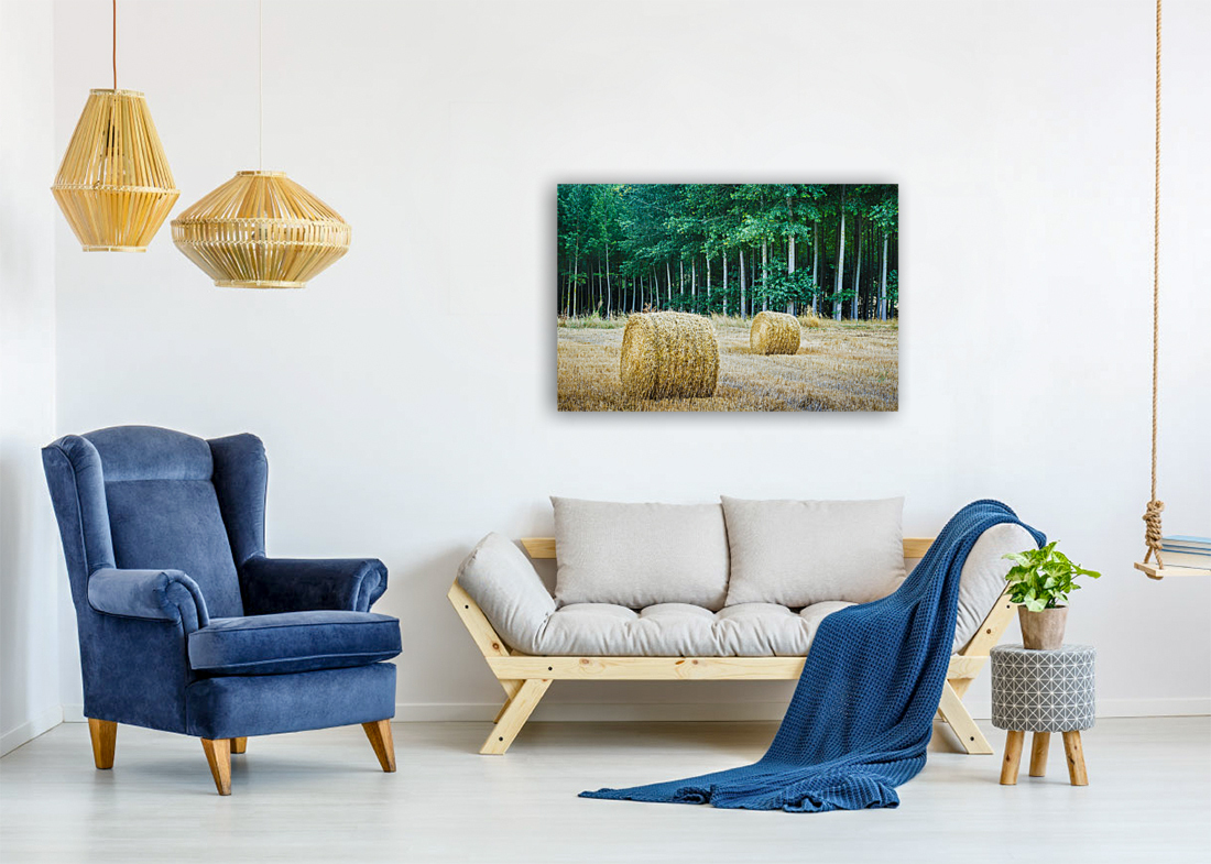 Wheat bales. Spain. Reproduction