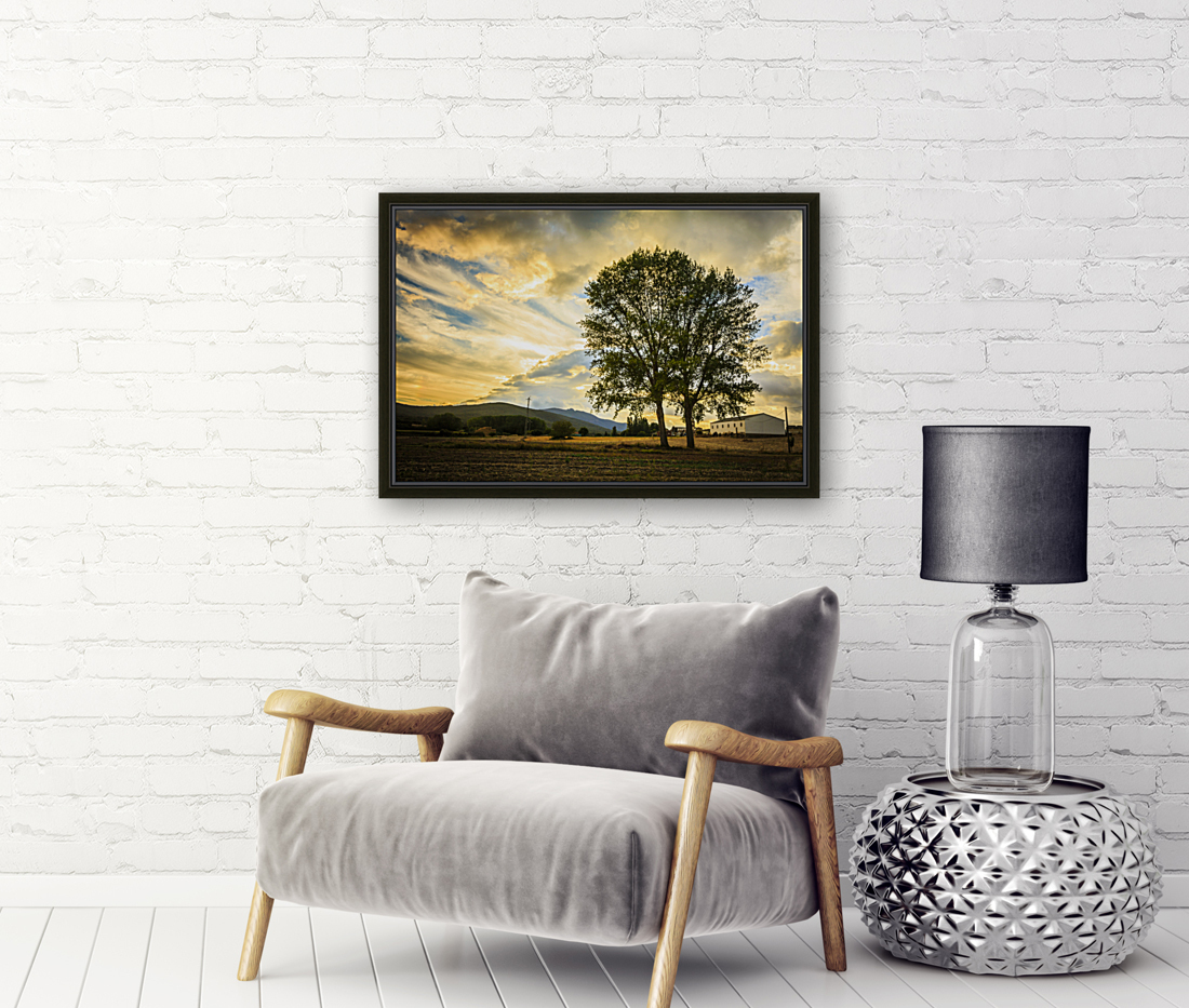 Tree and sky with clouds.  Reproduction