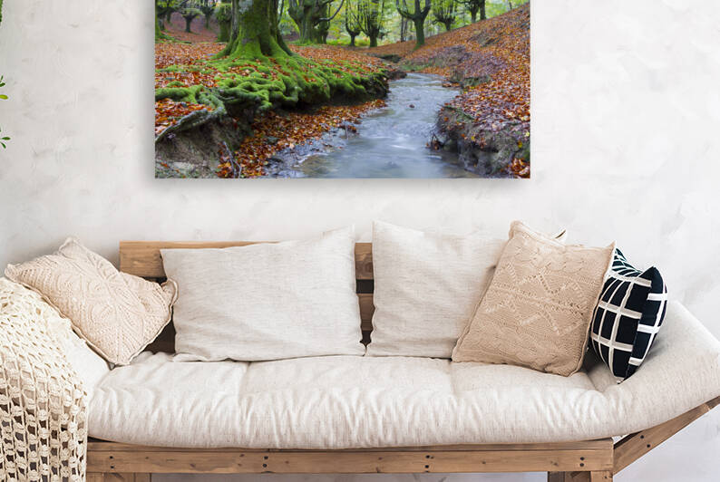 Otzarreta beechwood I by Mikel Bilbao Photography