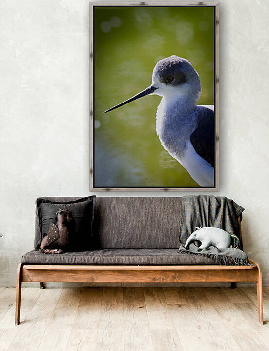 Black winged Stilt II by Mikel Bilbao Photography