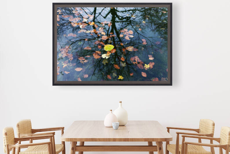 Pond in a beechwood in autumn. by Mikel Bilbao Photography