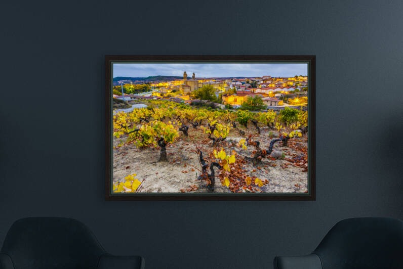 Vineyards in autumn. La Rioja Spain 07 by Mikel Bilbao Photography