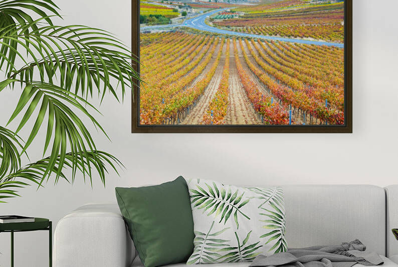 Vineyards in autumn. La Rioja Spain 03 by Mikel Bilbao Photography
