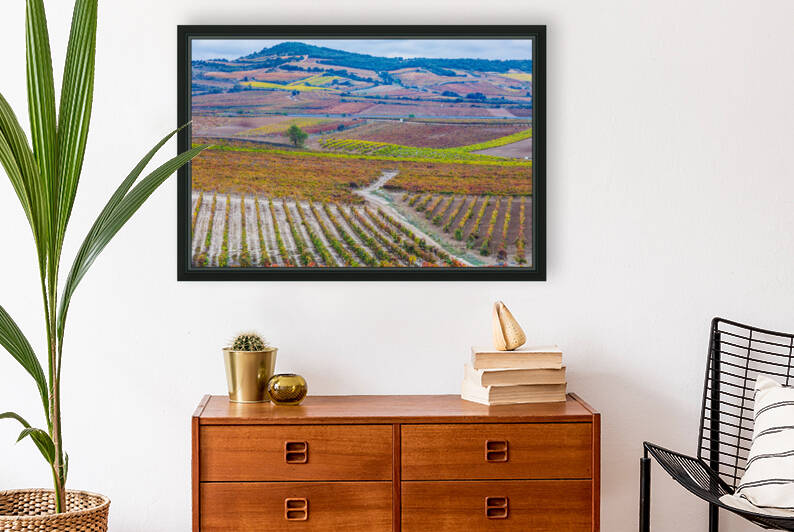 Vineyards in autumn. La Rioja Spain 02 by Mikel Bilbao Photography