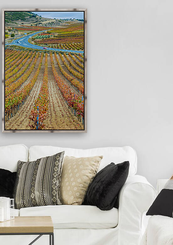 Vineyards in autumn. La Rioja Spain 04 by Mikel Bilbao Photography