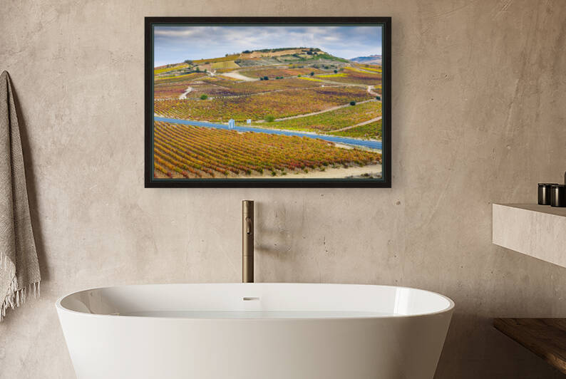 Vineyards in autumn. La Rioja Spain 05 by Mikel Bilbao Photography