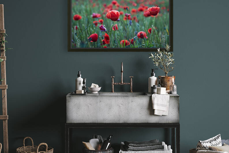 Poppy field III by Mikel Bilbao Photography