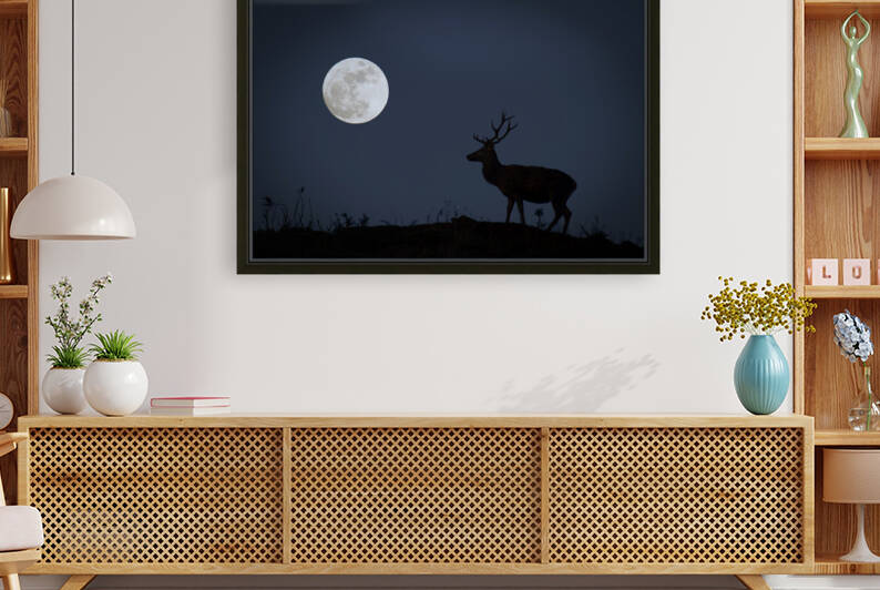 Red Deer and full moon by Mikel Bilbao Photography