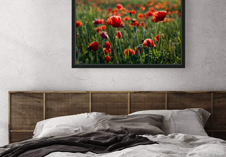 Poppy field I by Mikel Bilbao Photography