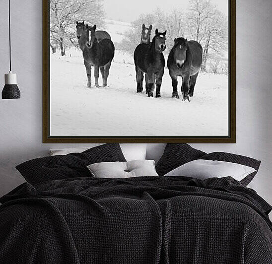 HORSES IN SNOW by Mikel Bilbao Photography