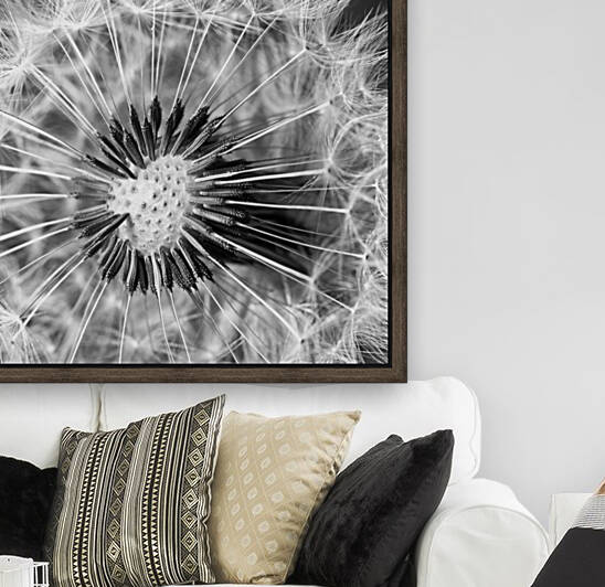 DANDELION by Mikel Bilbao Photography