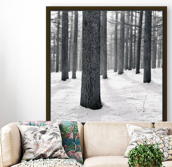WINTER VIEW II by Mikel Bilbao Photography