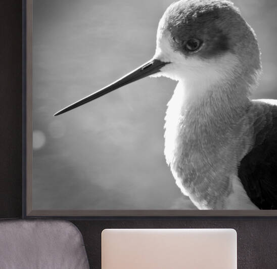 STILT by Mikel Bilbao Photography