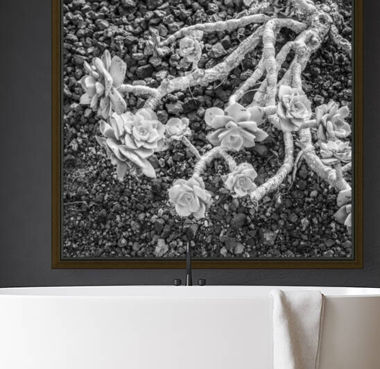 DEAD FLOWER by Mikel Bilbao Photography