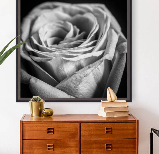 ROSE by Mikel Bilbao Photography