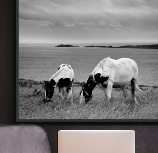 HORSES by Mikel Bilbao Photography
