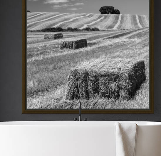 CEREAL LAND by Mikel Bilbao Photography