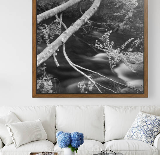 BAIAS RIVER II by Mikel Bilbao Photography