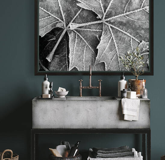 LEAVES by Mikel Bilbao Photography